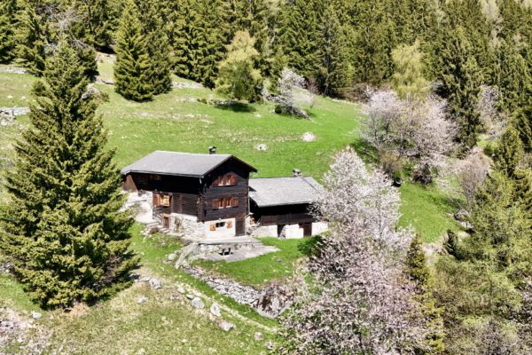 Véritable chalet coup de coeur Havre de paix face aux montagnes